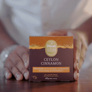 Ceylon Cinnamon Infusion with Ginger, Cardamom, Star Anise & Peppermint- 20 Luxury Tea Bags